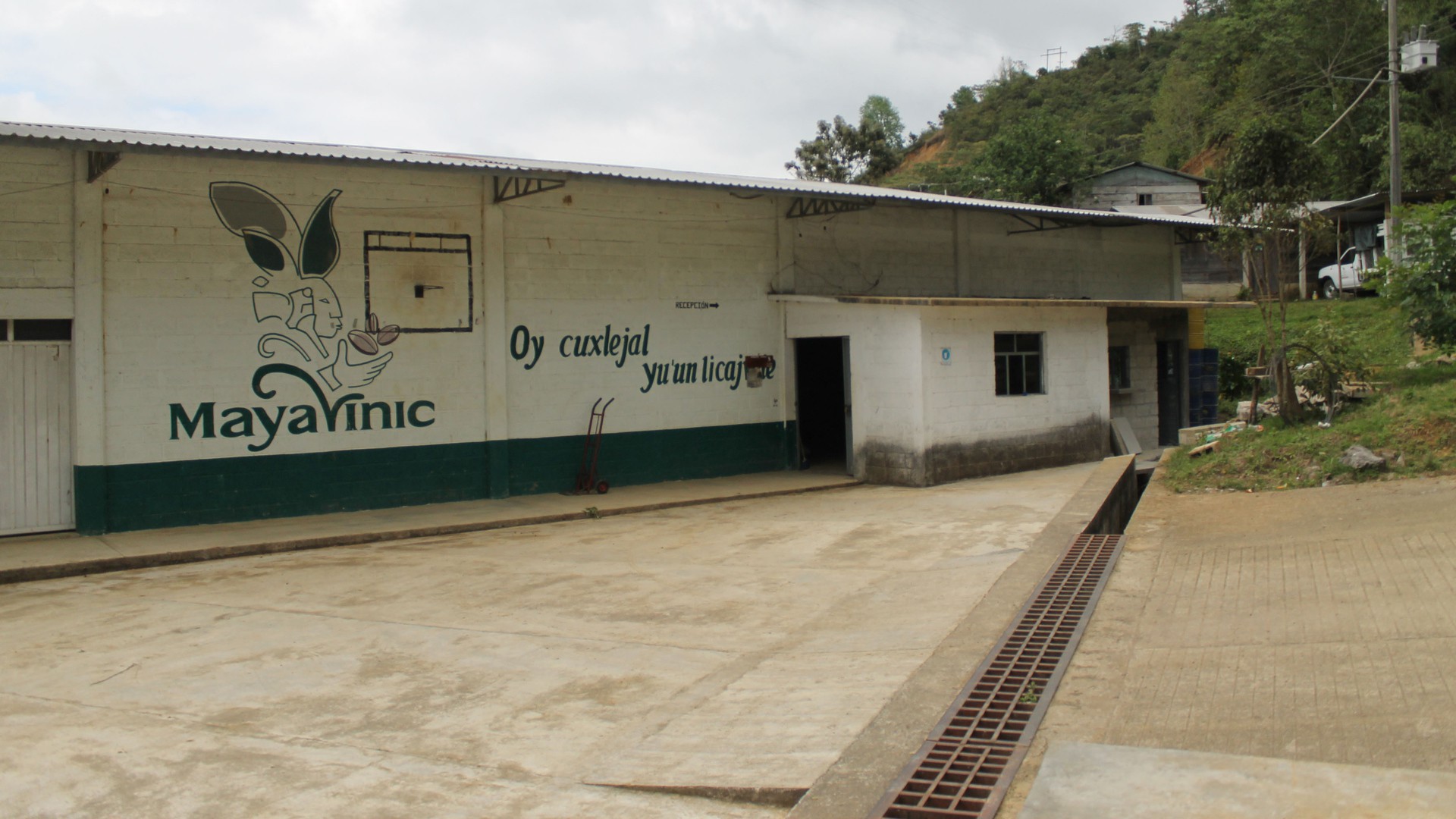 Maya Vinic's mill and warehouse sits on a hillside in the midst of villages where members of the cooperative live and grow coffee. The words painted on the wall mean 'coffee is life.' (Photo by Brittany Elena Morris.)