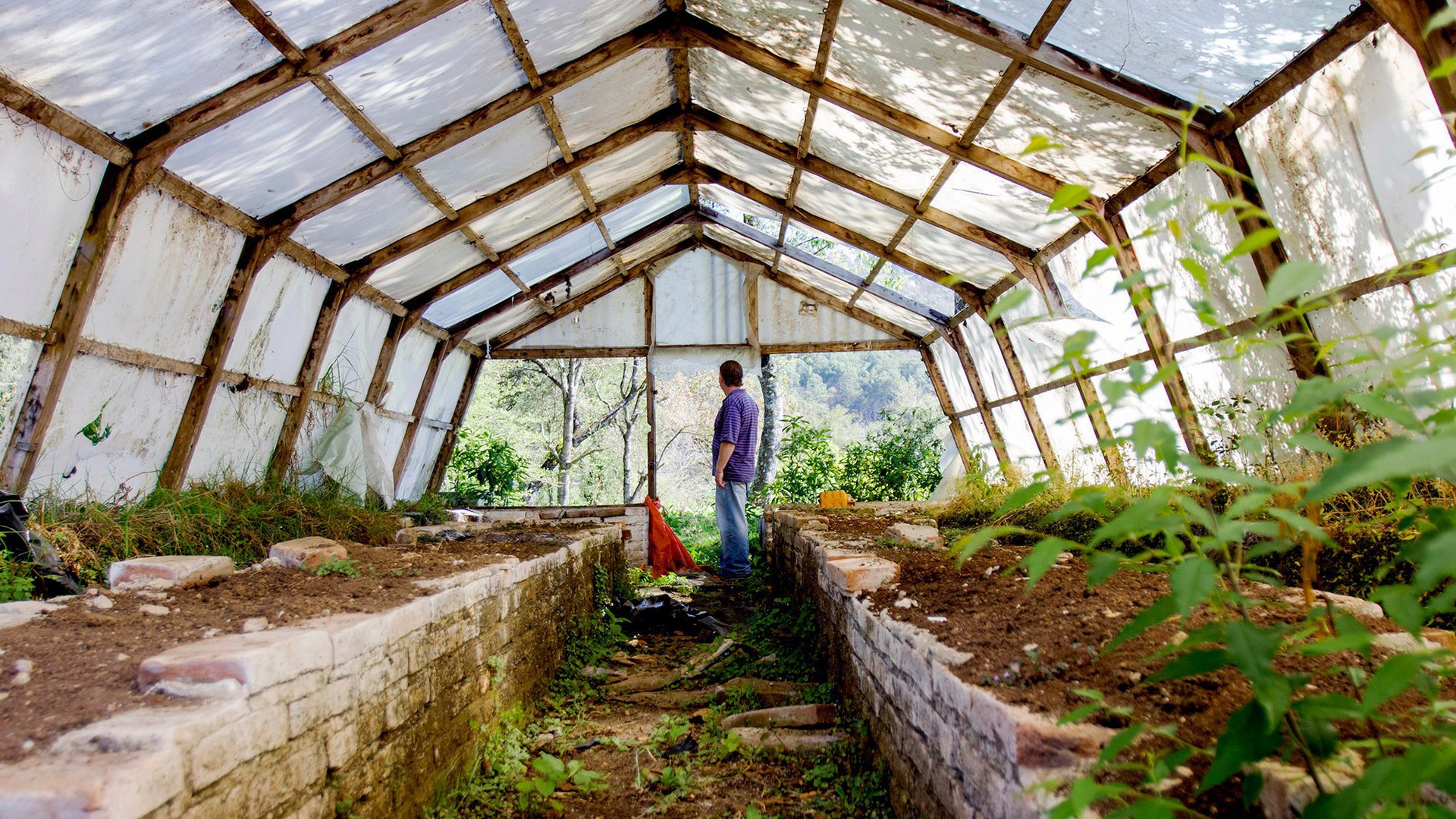 Virgil Edwards stands in an unused greenhouse on his land, Rancho El Ar, in San Cristóbal de las Casas, Chiapas, Mex. (Photo by Connor Radnovich.)