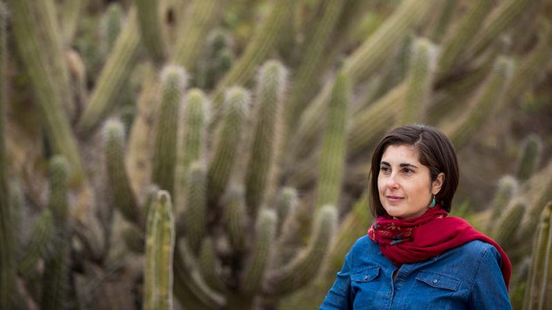 Valeria FernÃ¡ndez, Cronkite School