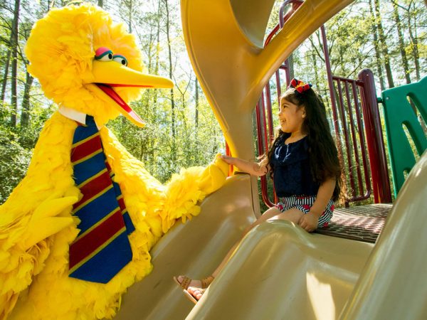 Big Bird with a child