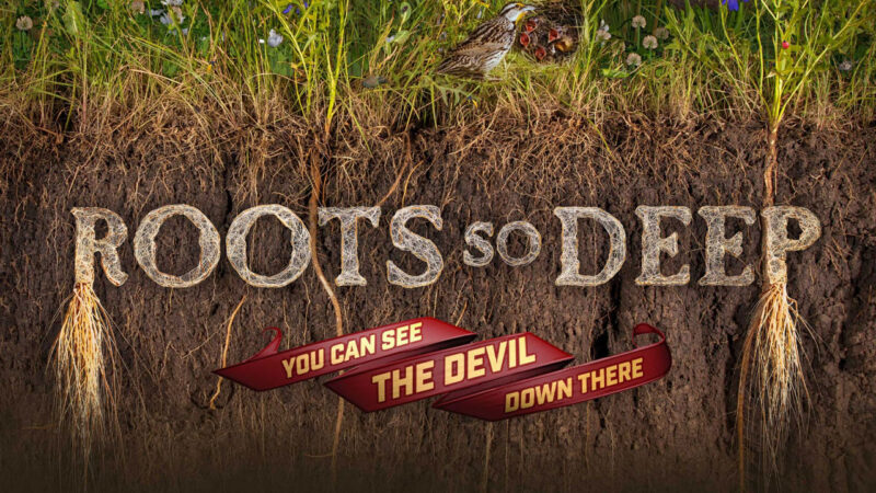 Roots So Deep movie